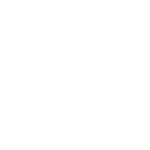 FREE THINKER PROJECT